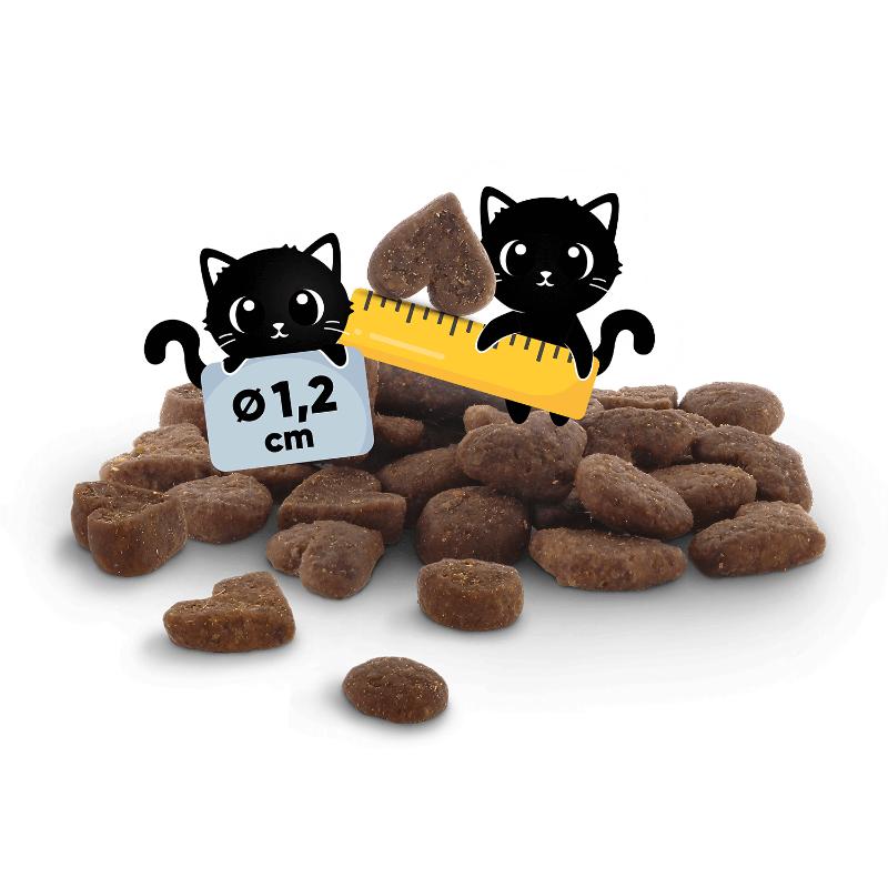 Lucky Lou Food Code Adult Πουλερικά, Φρέσκο Κοτόπουλο & Έντομα 750gr - Image 4