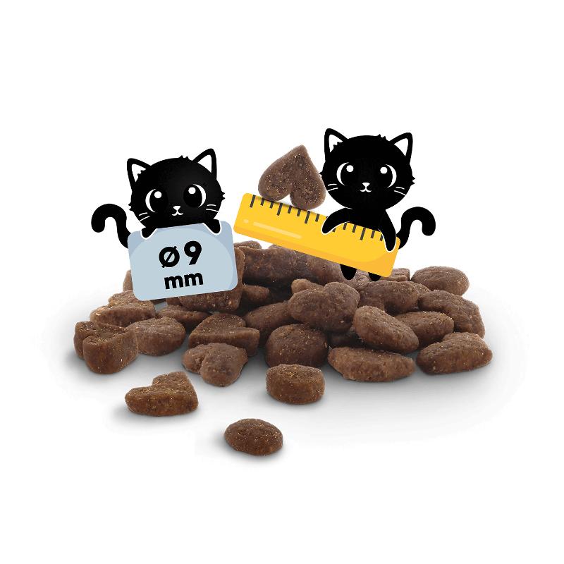 Lucky Lou Food Code Kitten Πουλερικά & Φρέσκο Κοτόπουλο