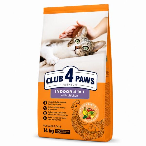 club-4-paws-indoor-kotopoulo